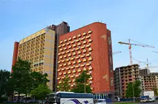 هتل آرت کارلیا سن پترزبورگ